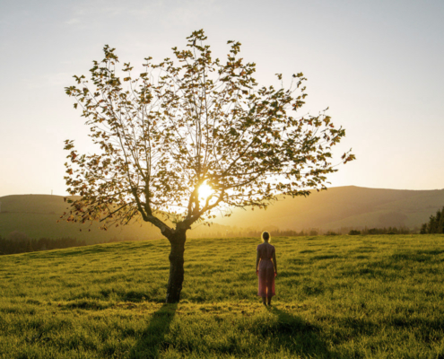 Meditation im Odenwald – für Körper und Geist, Buddhistische Psychotherapie und Begleitung